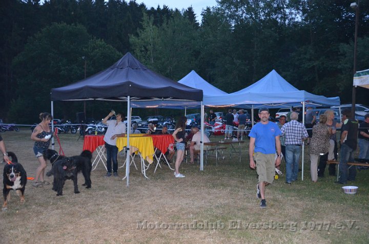 MCE Sommertreffen 2015 - 056.jpg